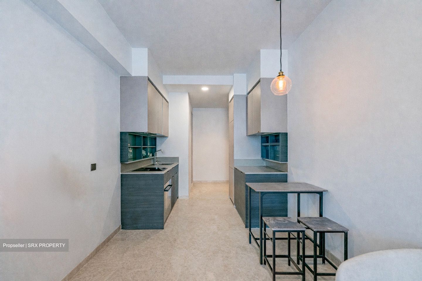 Haus On Handy (D9), Condominium #537817651